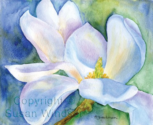 Magnolia - Susan WINDSOR